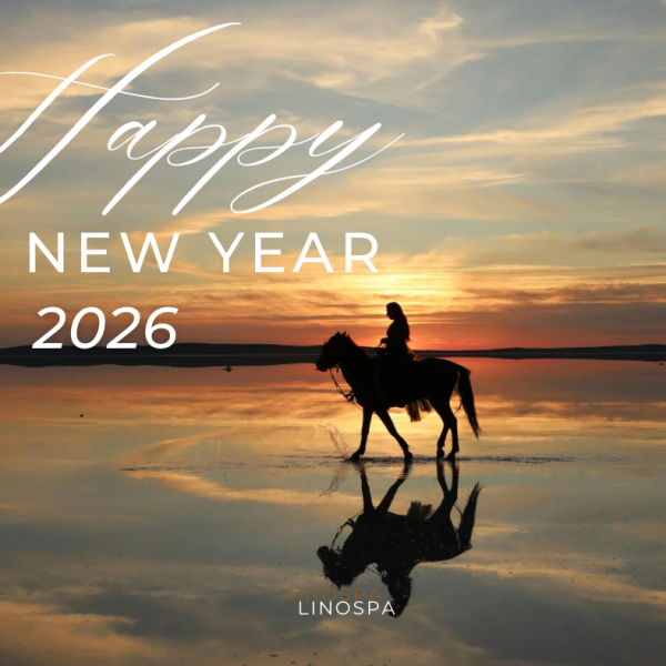 謹賀新年🎍2026 画像