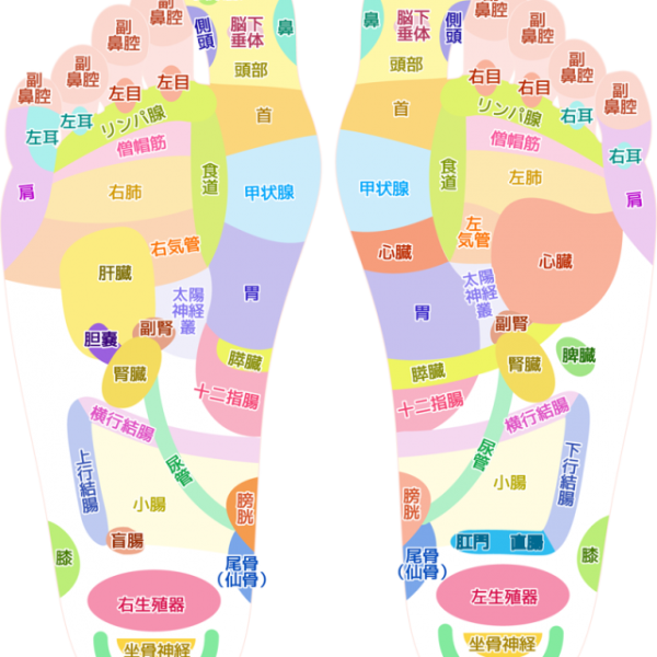 足ツボの秘密について 画像