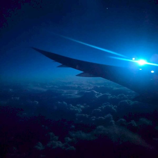 ウルフムーン 画像