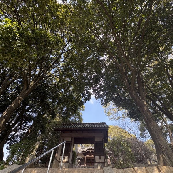 軌跡の出会い 画像